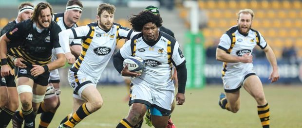 Champions Cup, highlights Zebre-Wasps