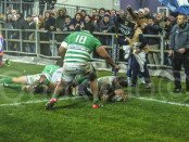 zebre benetton