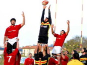 1pesaro2