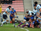 rovigoLazio