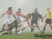 champions-cup-zebre-stade-toulousain-05