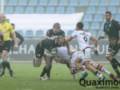 champions-cup-zebre-stade-toulousain-14
