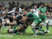 pro12-zebre-connacht