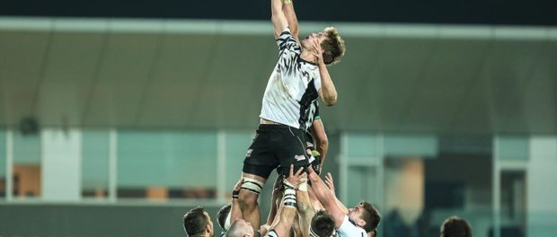Il XV delle Zebre per la trasferta contro gli Scarlets