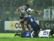 zebre-leinster-11