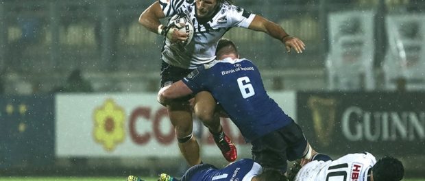 Fotogallery di Zebre-Leinnster