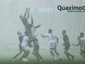 champion-cup-zebre-stade-toulousain