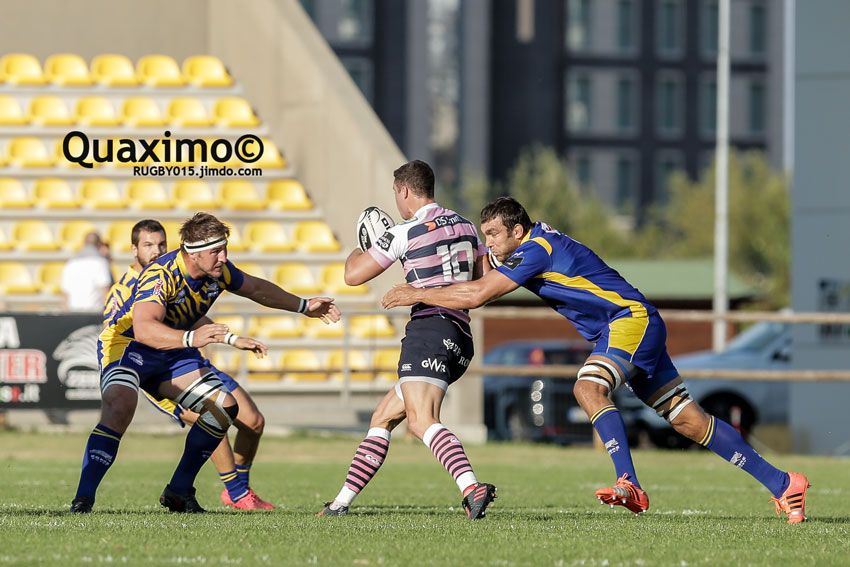 Pro12 Zebre Blues Cardiff