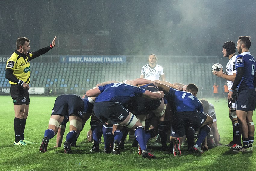 Zebre Leinster