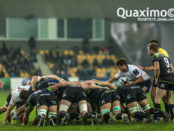 zebre-connacht